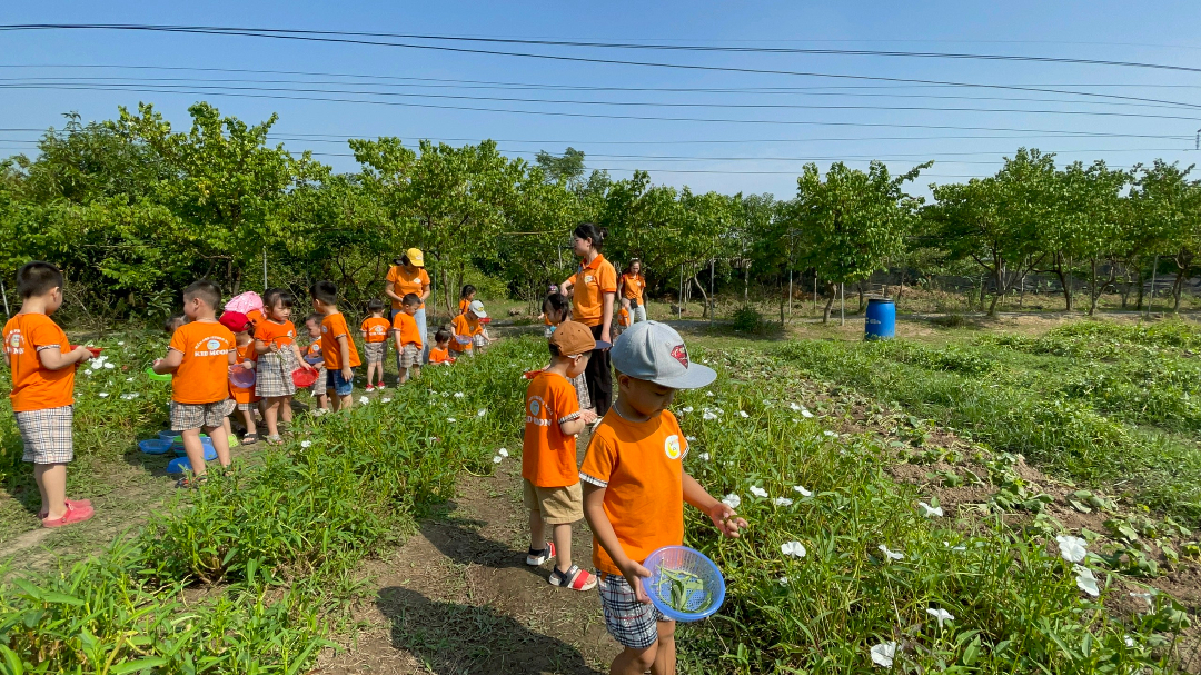 Dịch vụ và tiện ích