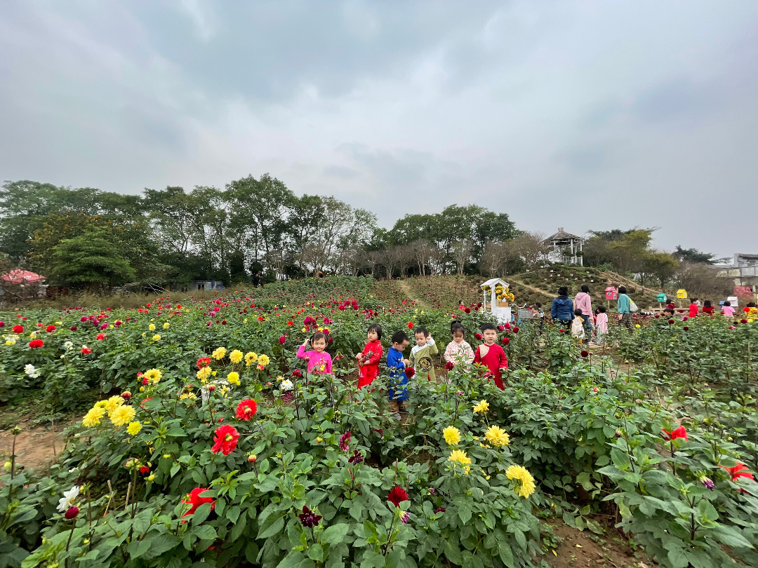 Dịch vụ và tiện ích