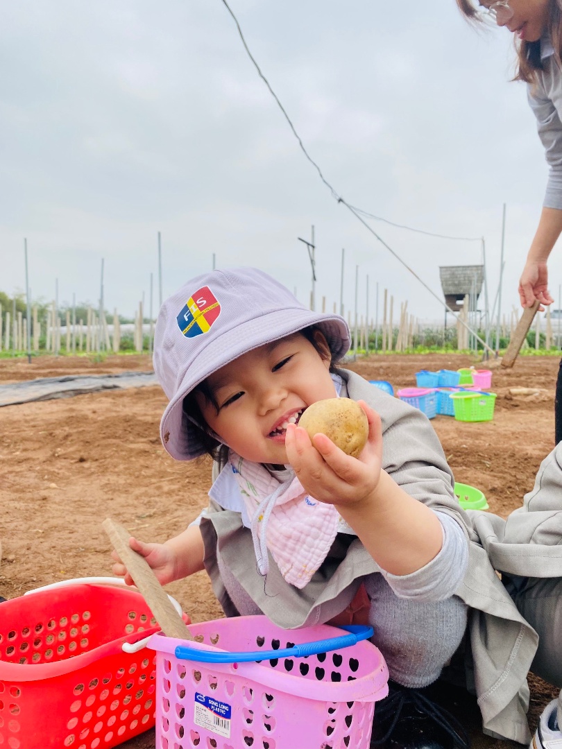 Dịch vụ và tiện ích