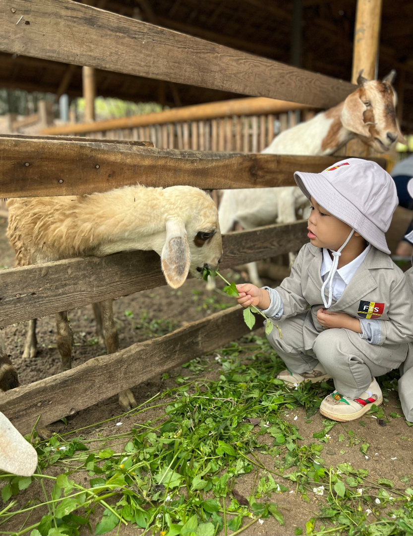 Dịch vụ và tiện ích