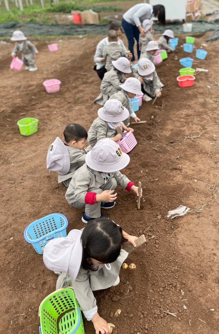 Dịch vụ và tiện ích