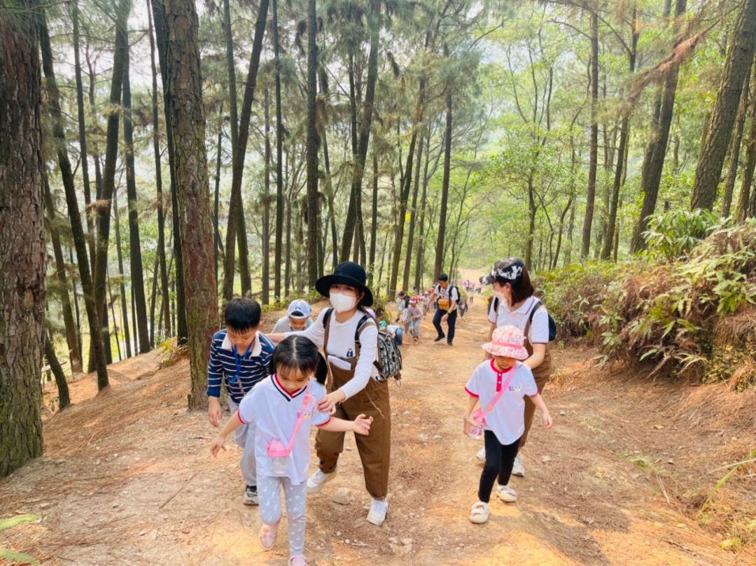 Dịch vụ và tiện ích