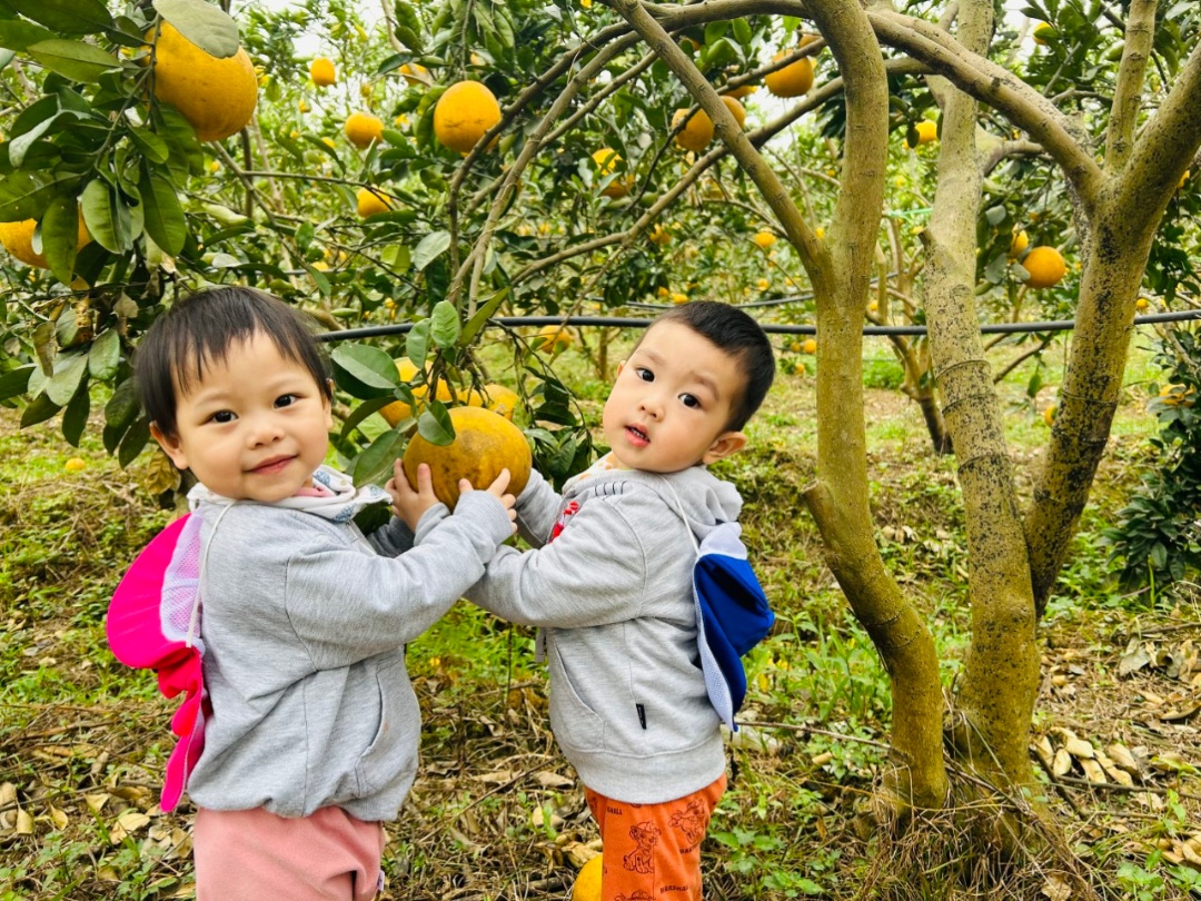 Dịch vụ và tiện ích