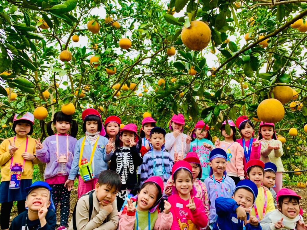 Dịch vụ và tiện ích