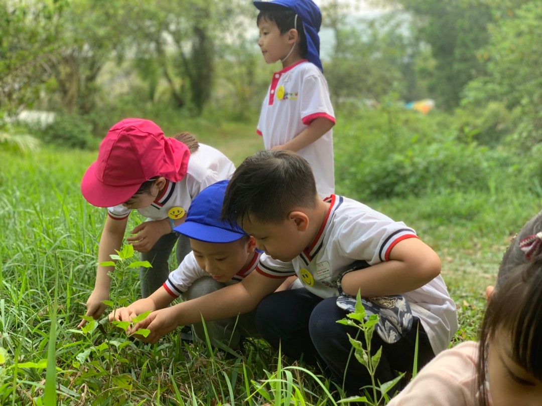 Dịch vụ và tiện ích