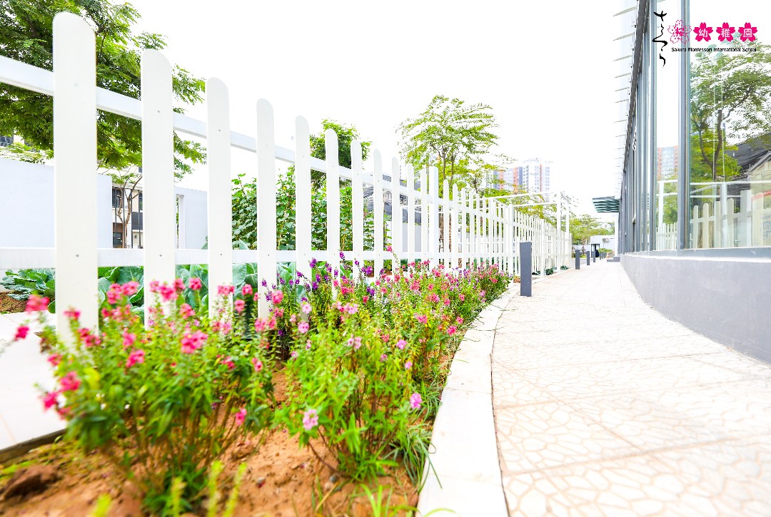 Dịch vụ và tiện ích