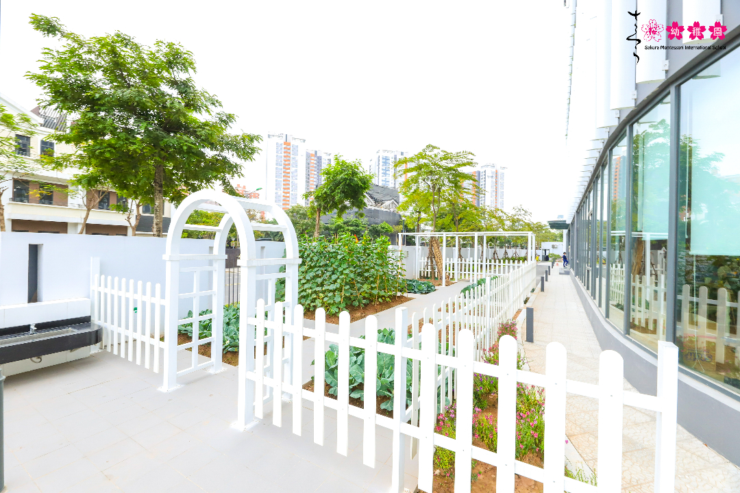 Dịch vụ và tiện ích