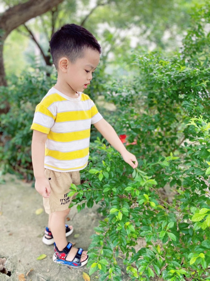 Dịch vụ và tiện ích