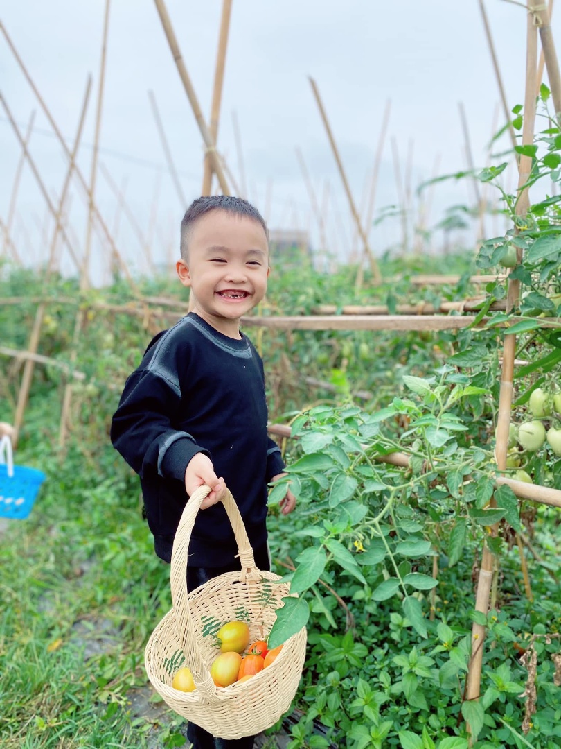 Dịch vụ và tiện ích