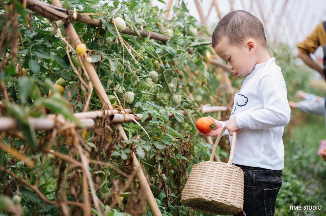 Dịch vụ và tiện ích