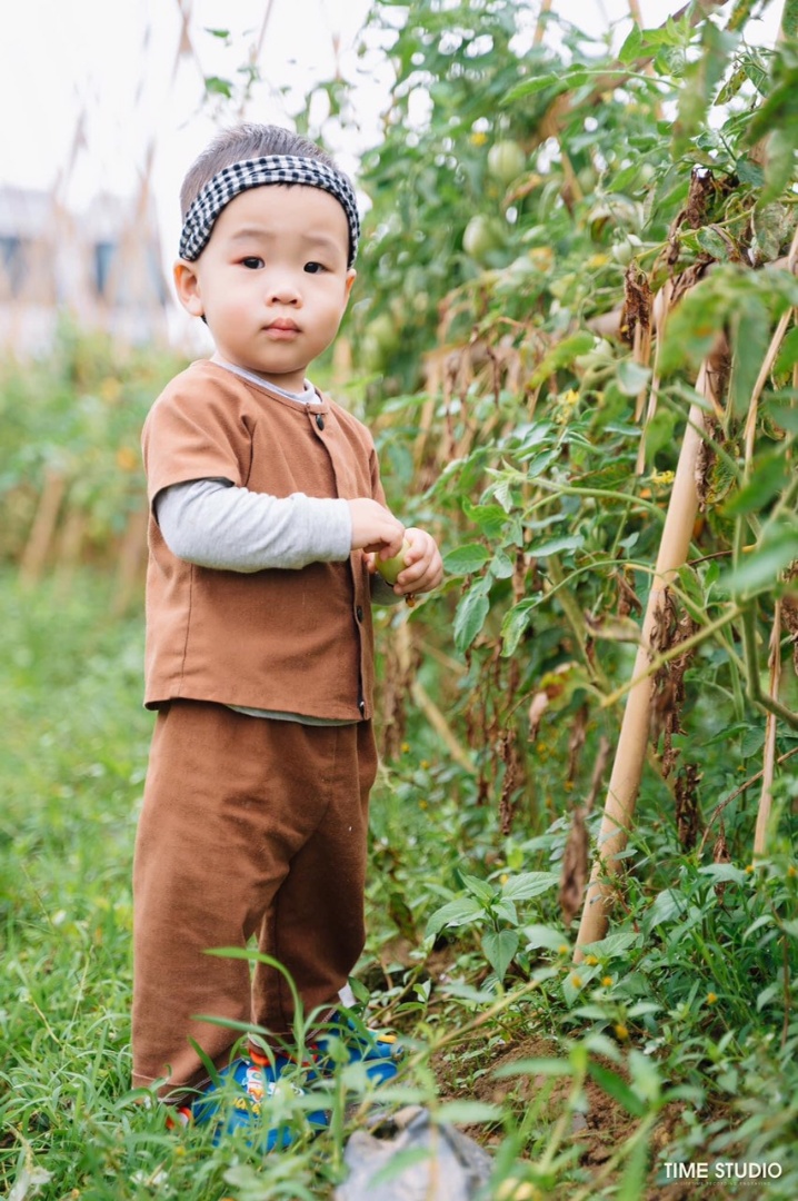 Dịch vụ và tiện ích