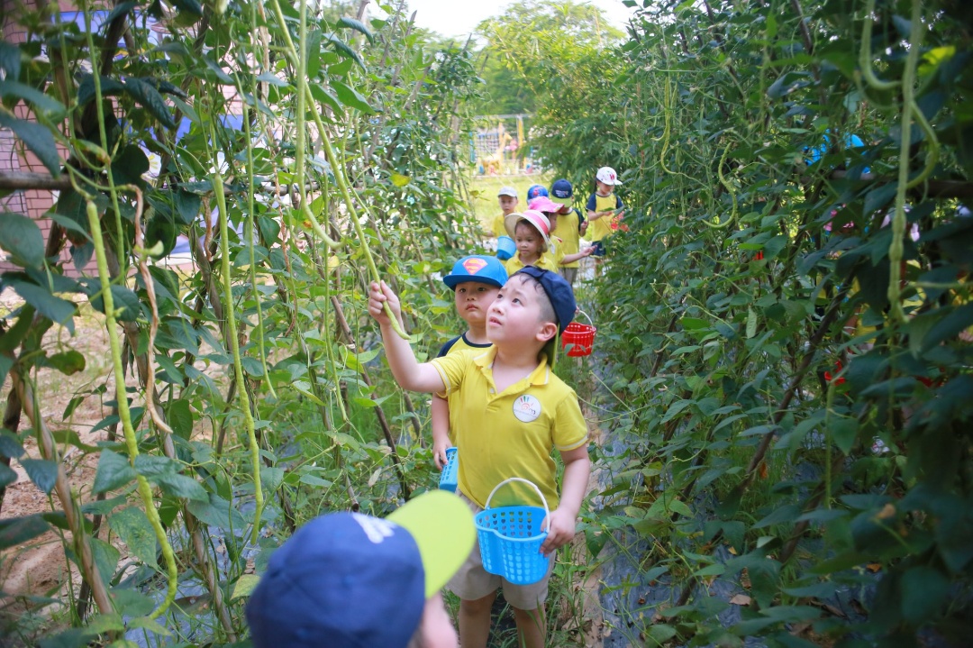 Dịch vụ và tiện ích