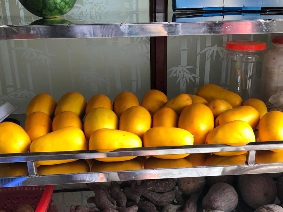 Chế độ dinh dưỡng