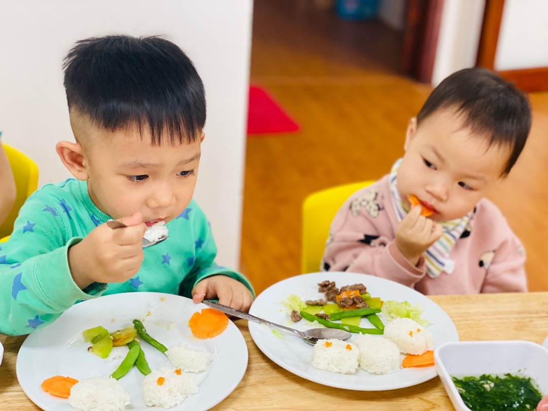 Chế độ dinh dưỡng