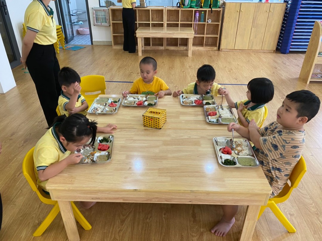 Chế độ dinh dưỡng