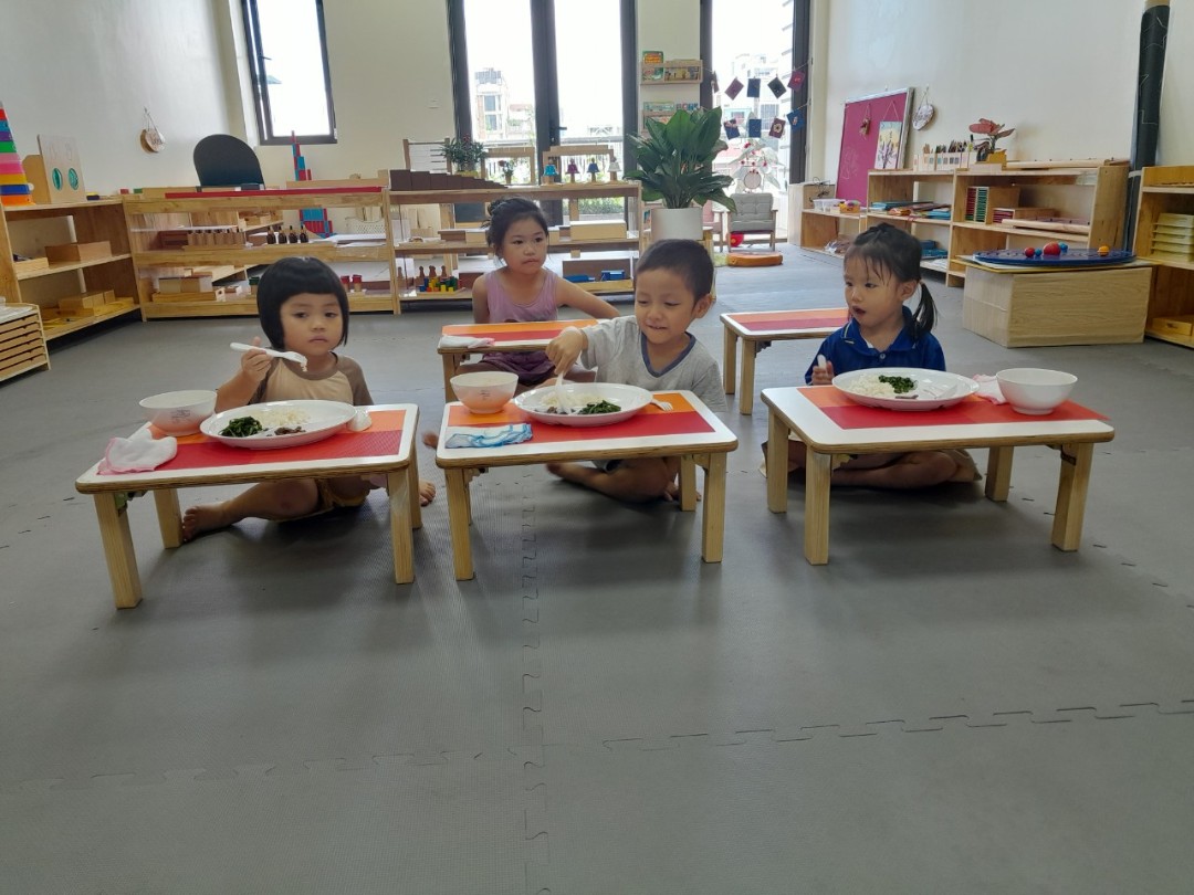 Chế độ dinh dưỡng