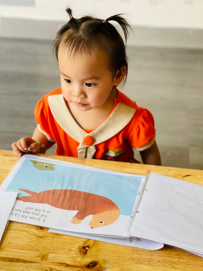 Chương trình học