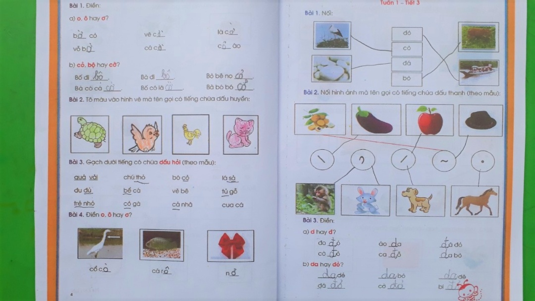 Chương trình học