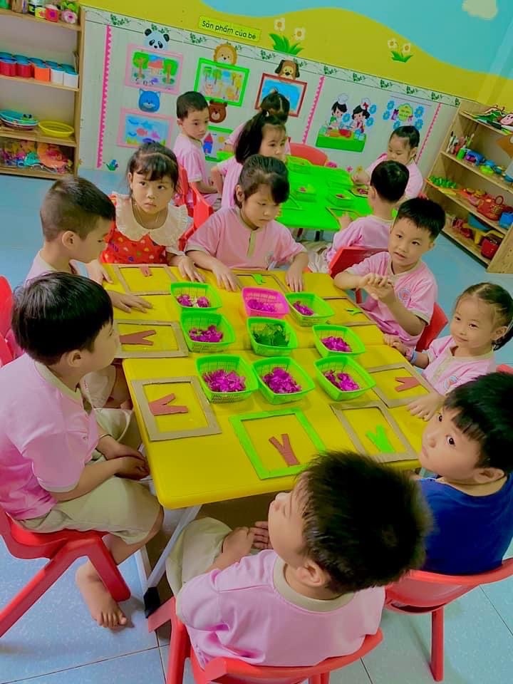 Chương trình học