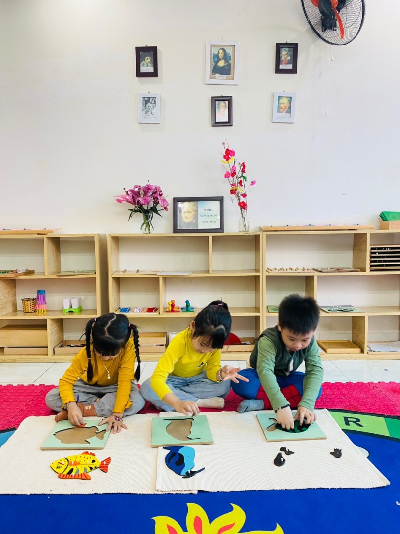 Chương trình học