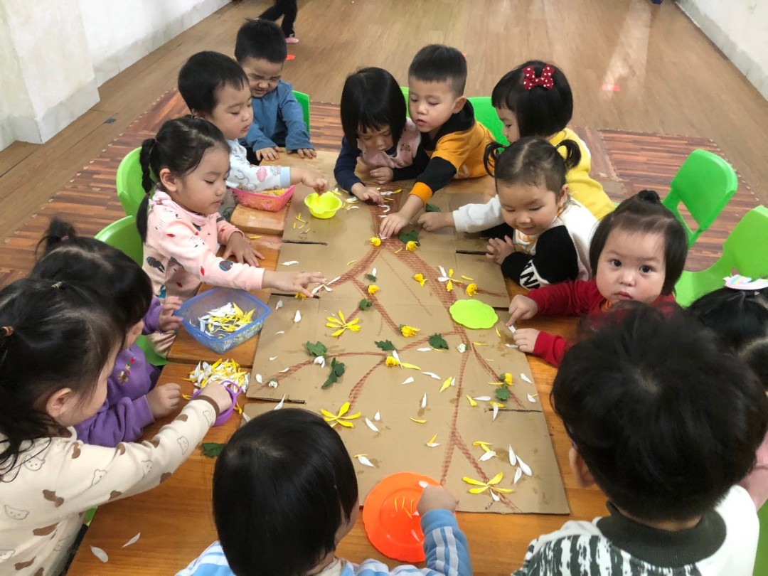 Chương trình học