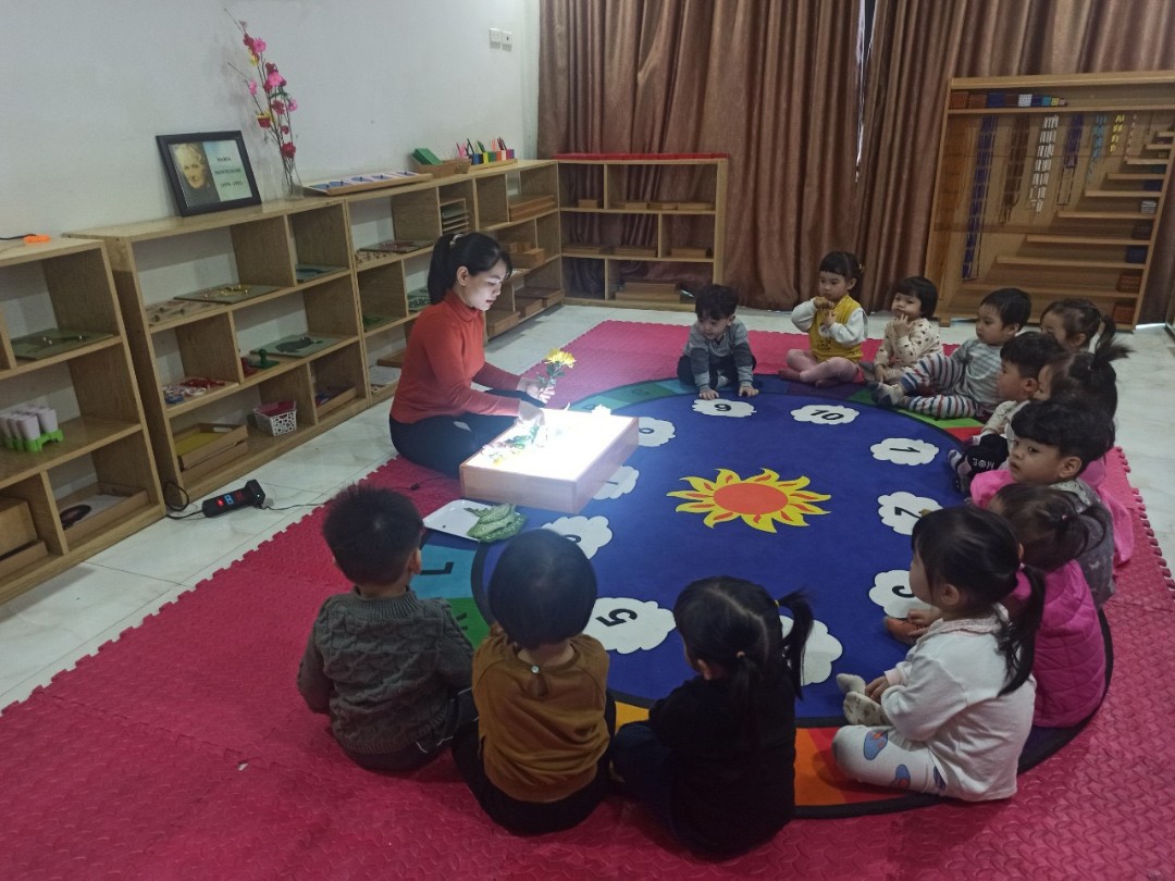 Chương trình học