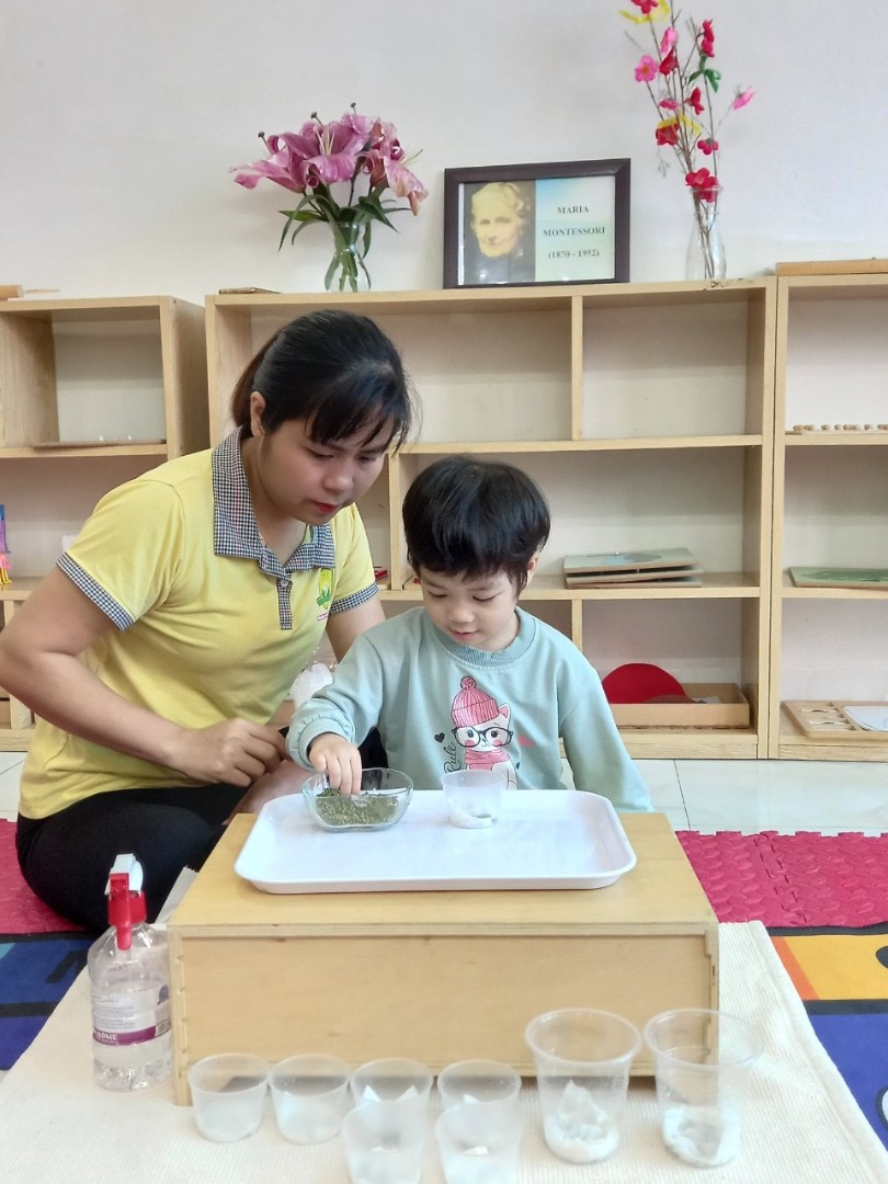 Chương trình học