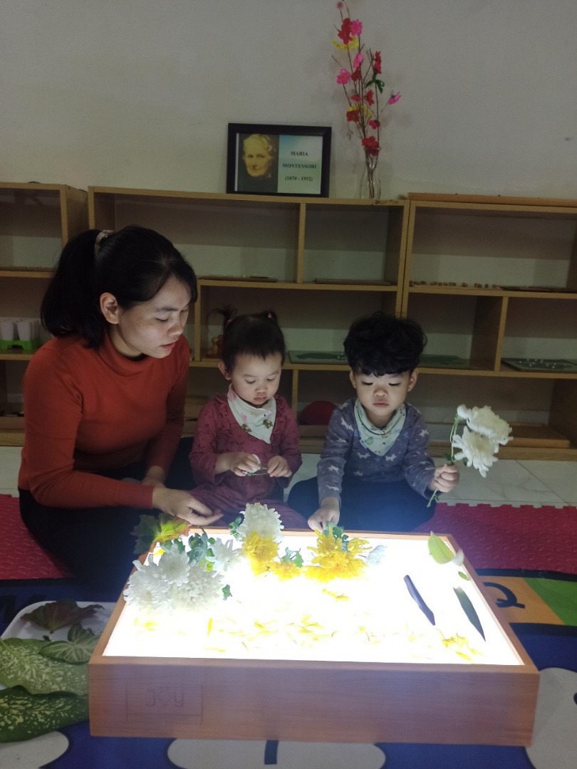 Chương trình học