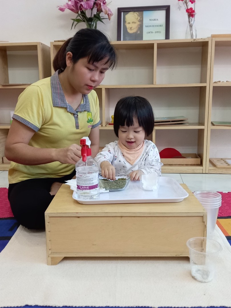 Chương trình học