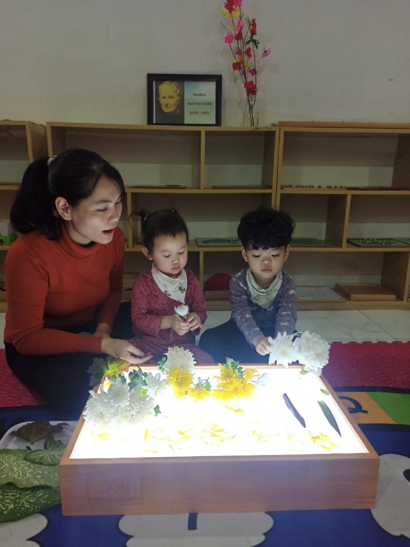 Chương trình học