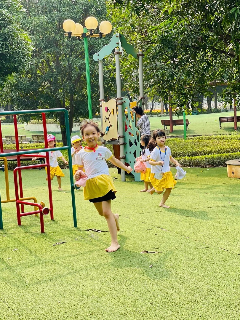 Chương trình học