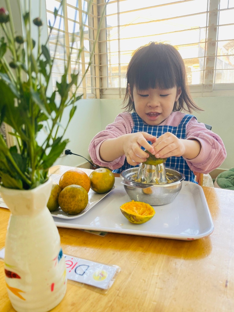 Chương trình học