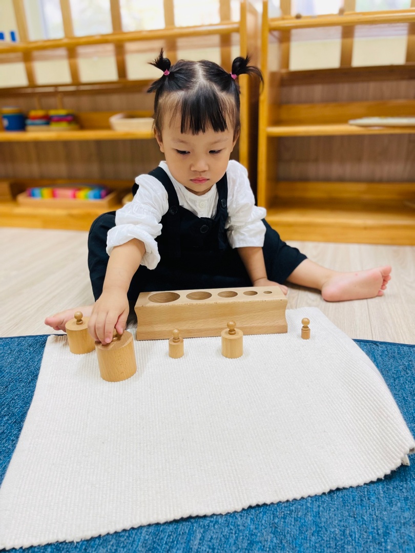 Chương trình học