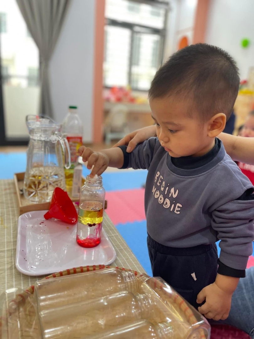 Chương trình học