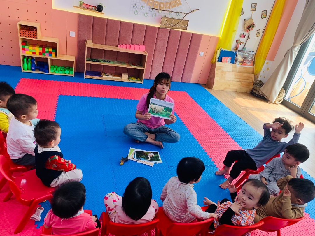 Chương trình học