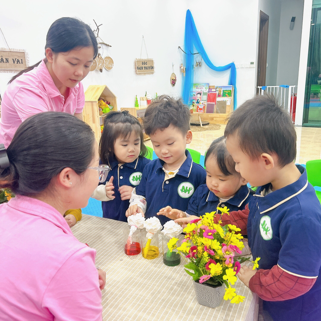 Chương trình học