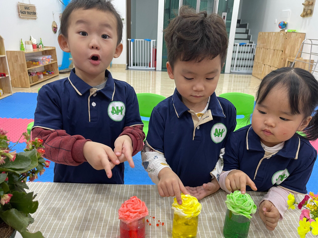 Chương trình học