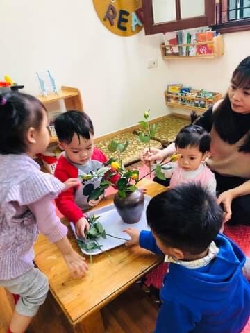 Chương trình học