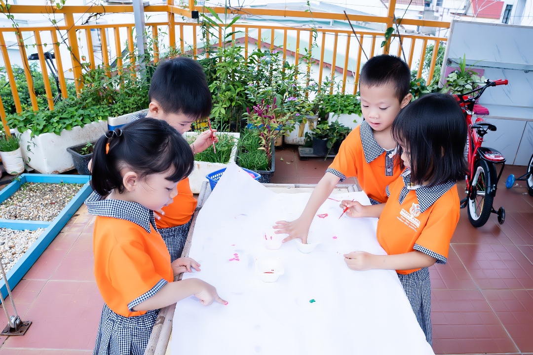 Chương trình học