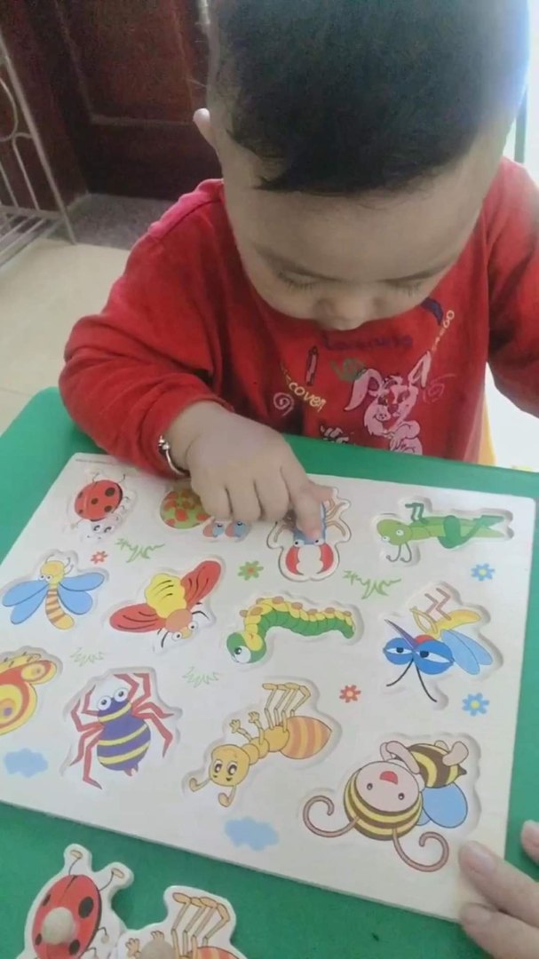 Chương trình học