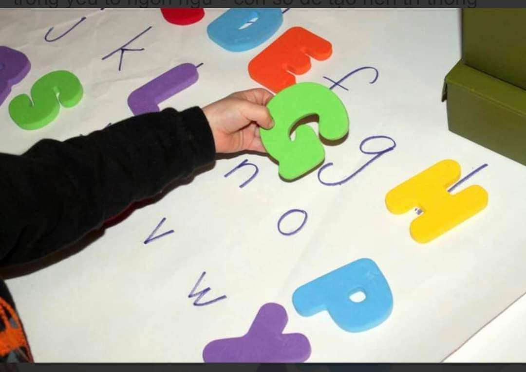 Chương trình học