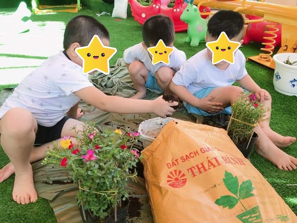 Chương trình học