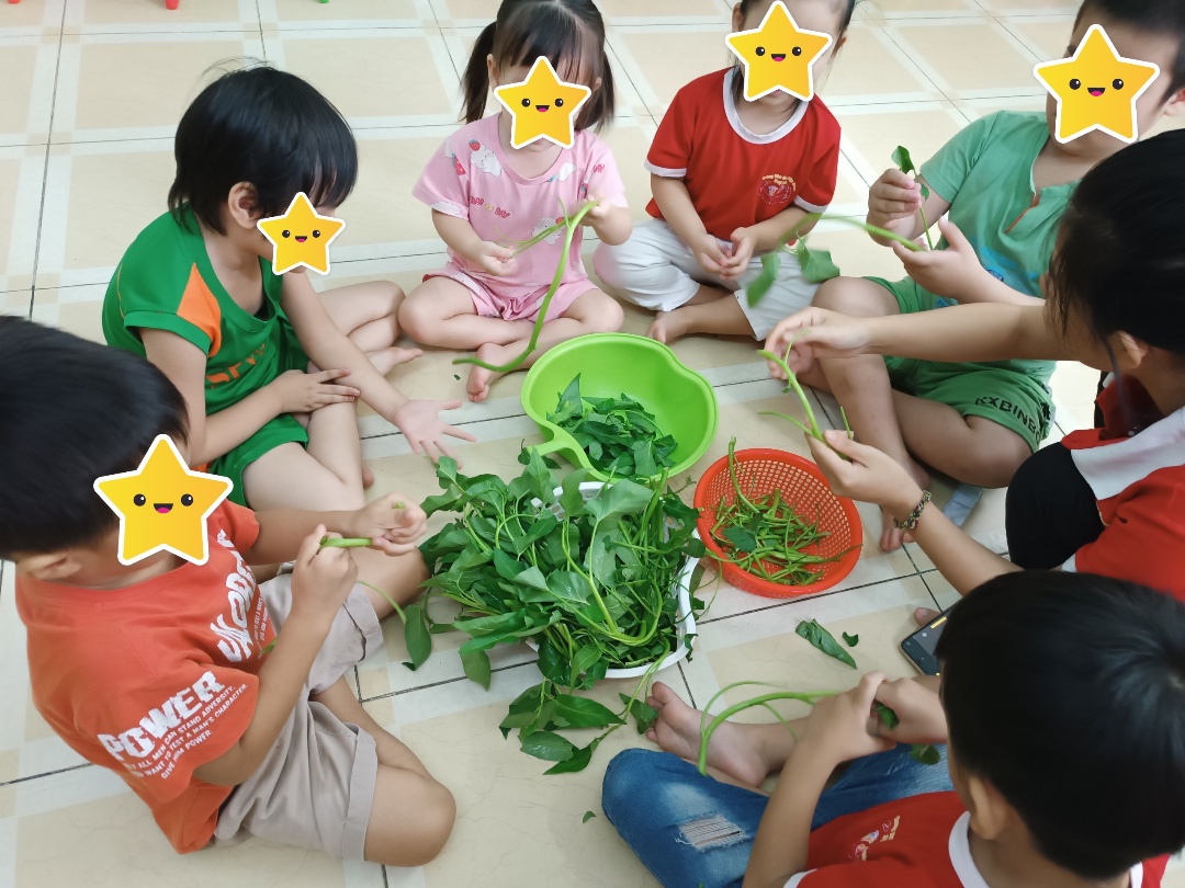 Chương trình học