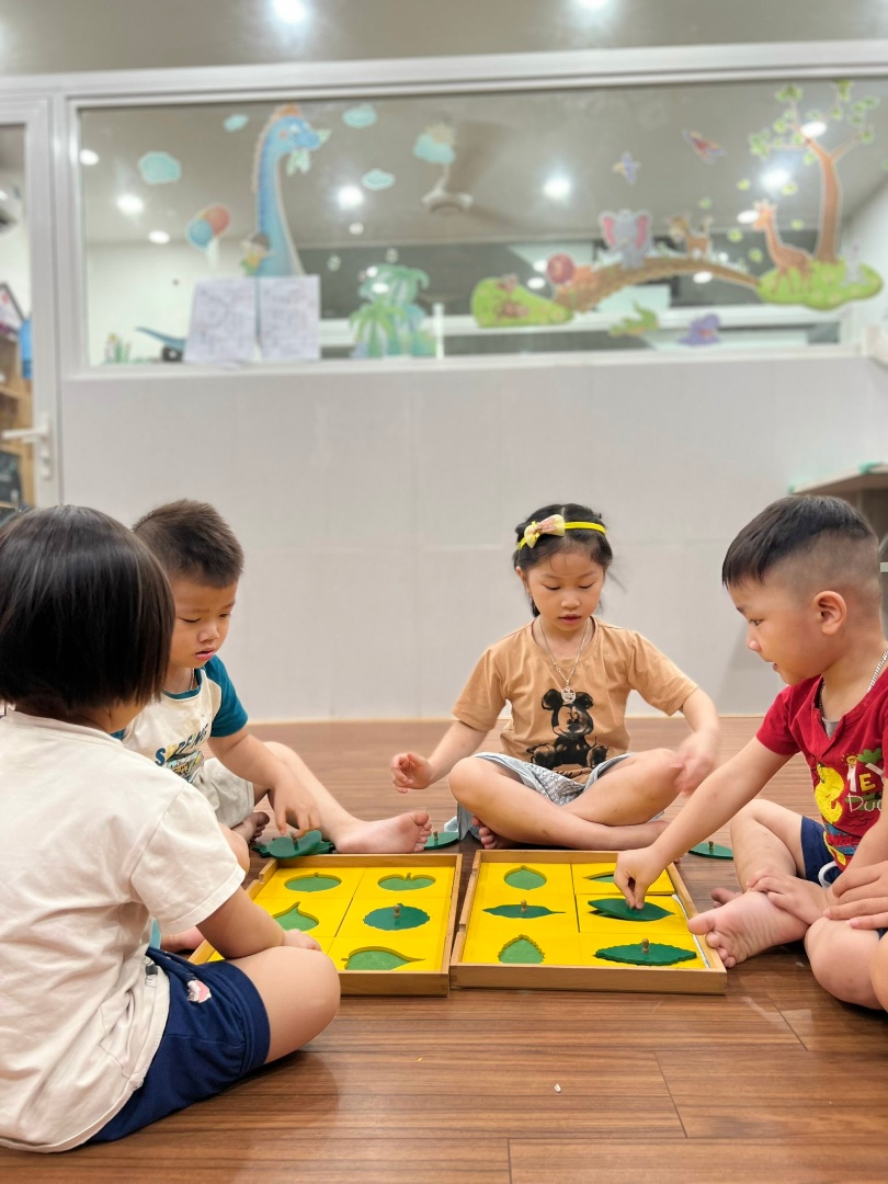 Chương trình học