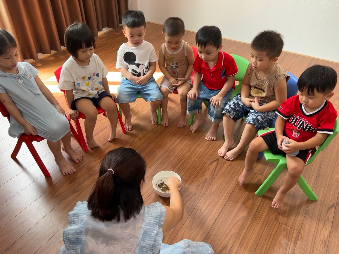 Chương trình học