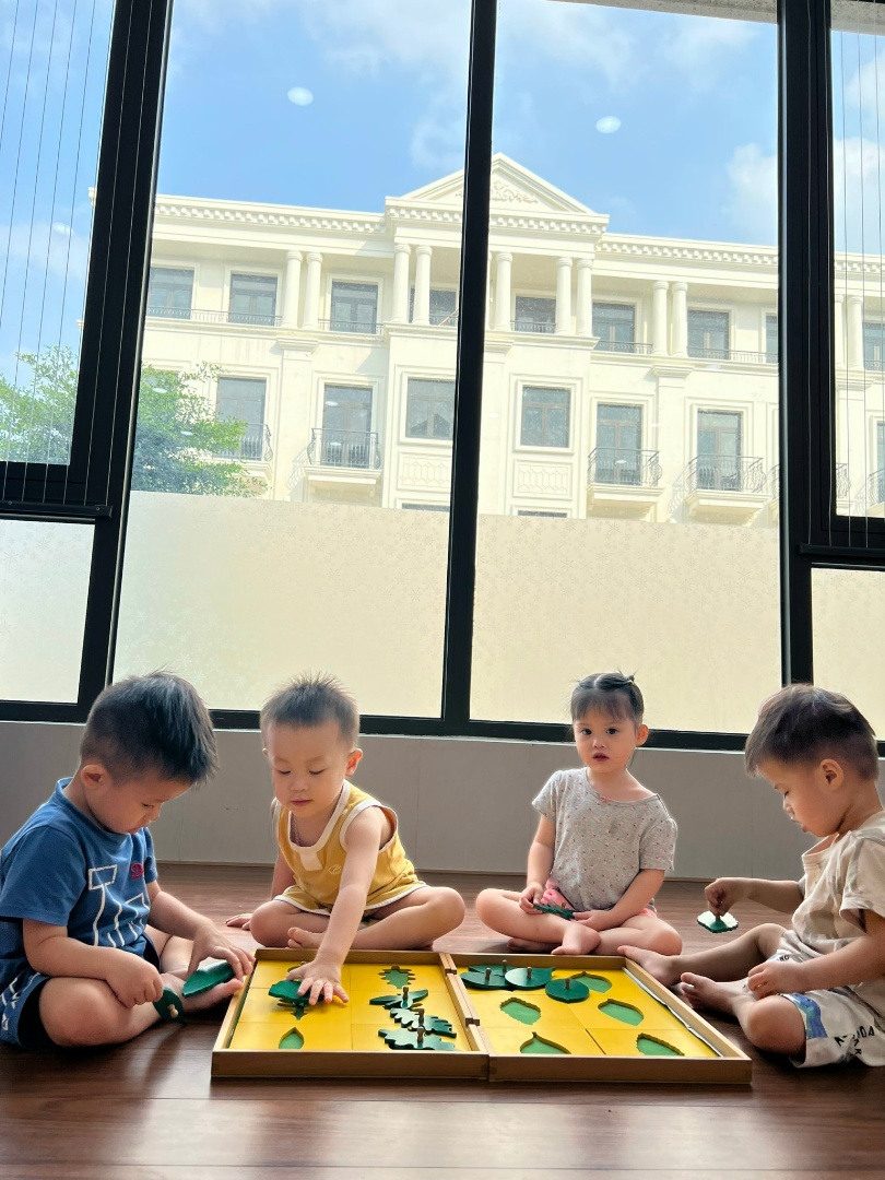 Chương trình học