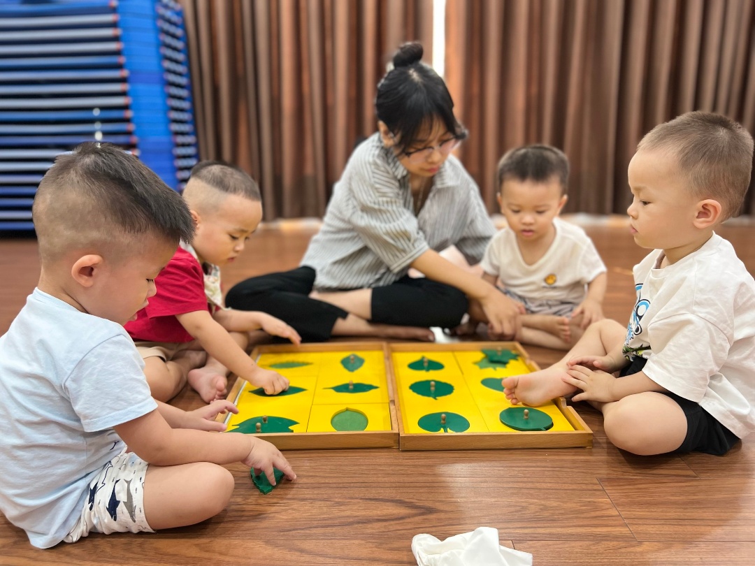 Chương trình học