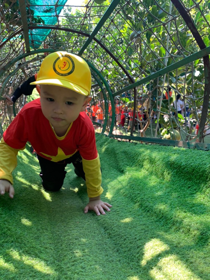 Chương trình học