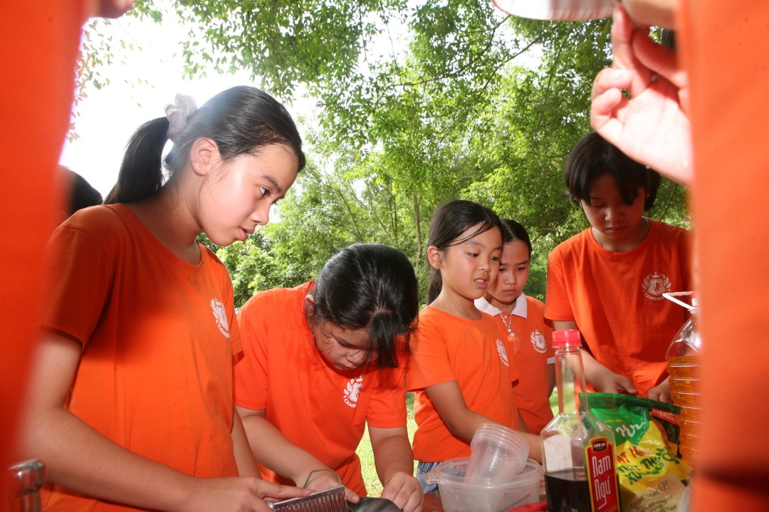 Chương trình học