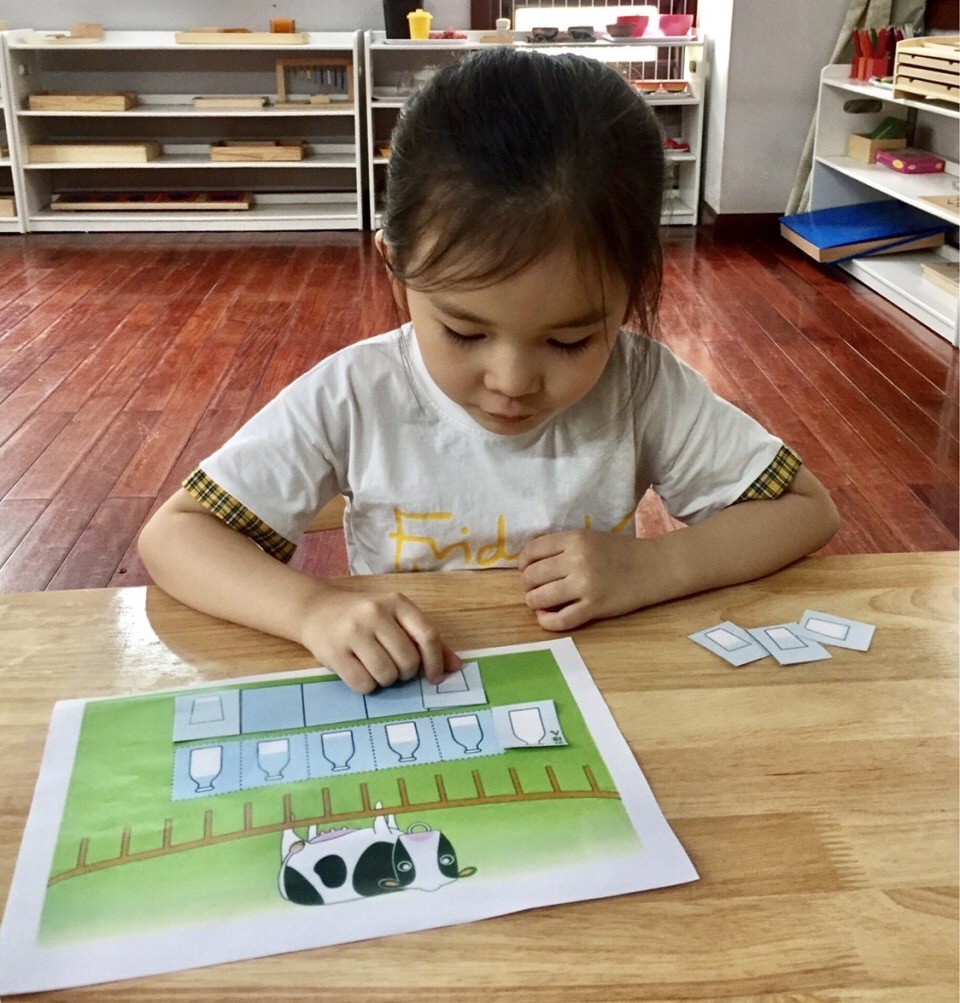 Chương trình học